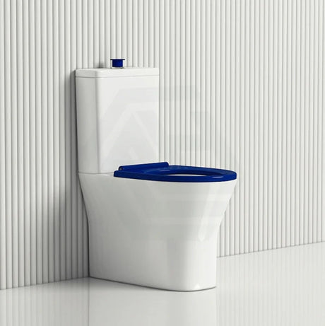 Understanding Ambulant Toilet Requirements