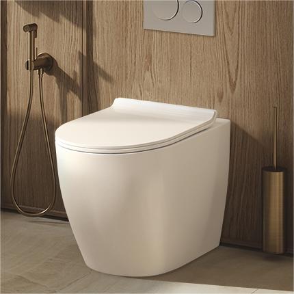 in-wall toilet suite