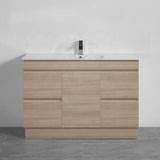 1-Door 4-Drawer 1200Mm Freestanding Bathroom Vanity Kickboard Single Multi-Colour Cabinet Only