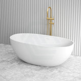 1550/1650Mm Fienza Sasso Oval Freestanding Bathtub Stone Matt White Integrated Overflow Bathtubs