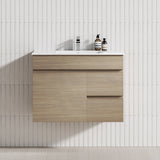 2-Drawer 1-Door 750/900/1200Mm Wall Hung Bathroom Floating Vanity Single Bowl Multi-Colour Cabinet