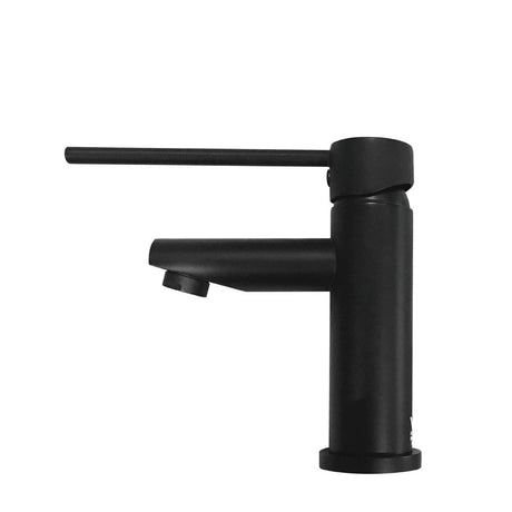 Fienza Hustle Care Basin Mixer Matt Black Special Needs