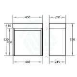 450X250X530Mm Wall Hung Pvc Vanity With Poly Top Left Or Right Hand Hinge Gloss White