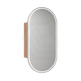 450X900Mm Beau Monde Led Mirror Oval Shaving Cabinet Mia Finish Frameless Touchless Sensor Frontlit