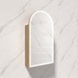 500X900Mm Canterbury Led Mirror Arch Shaving Cabinet Carita Finish Frameless Touchless Sensor