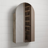 500X900Mm Canterbury Wall Hung Arch Shaving Mirror Cabinet Max Finish For Bathroom Cabinets