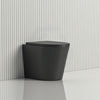 580X360X420Mm Bathroom Toilet Matt Black Comfort Height Wall Floor Faced Pan With Rimless Flushing