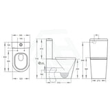 600X340X770Mm Wall Faced Toilet Suite With Rimless Pan For Junior Special Care Needs