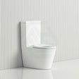 595X335X770Mm Wall Faced Toilet Suite With Rimless Pan For Junior Special Care Needs