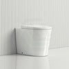 620X360X445Mm Avis Wall Faced Toilet Floor Pan With Rimless And Extra Height For Special Care