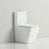 630X360X810Mm Bathroom Rimless Back To Wall White Ceramic Toilet Suite Gloss Suites