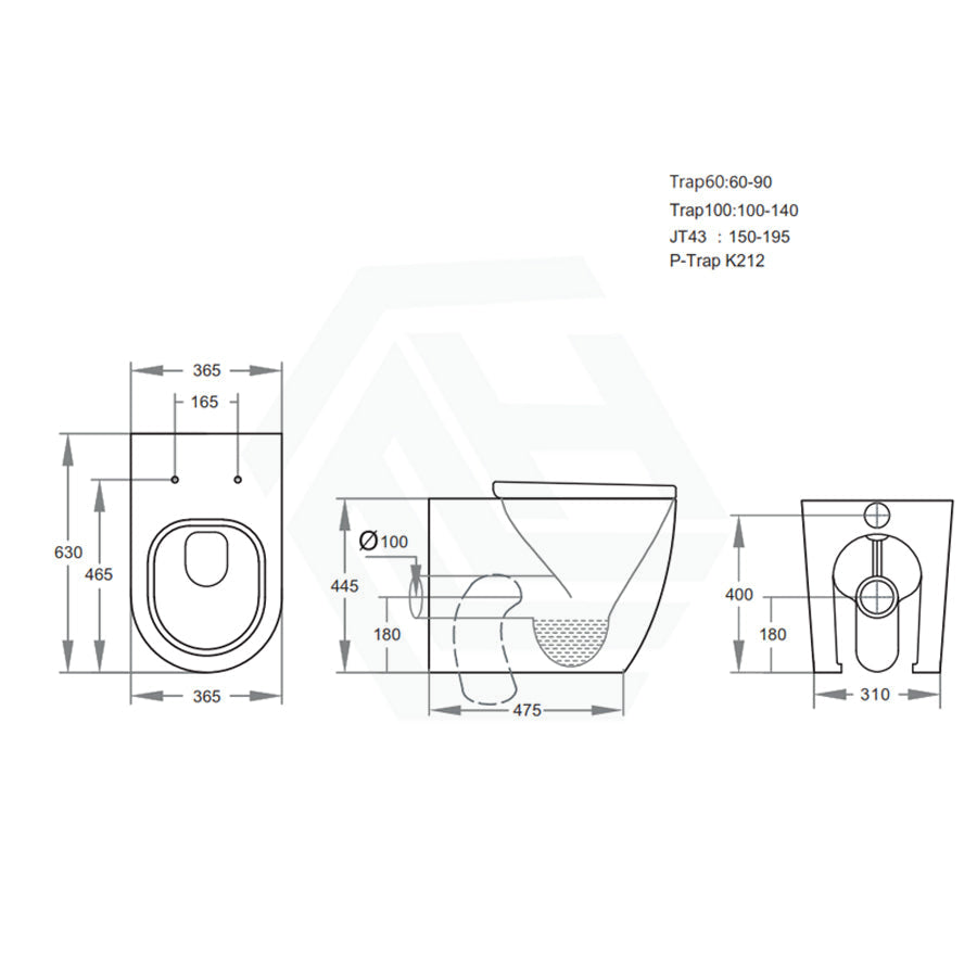 Elvera Tornado Wall Faced Floor Pan Special Care Needs