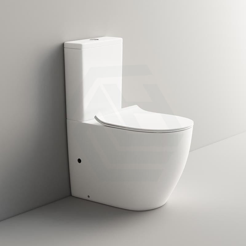 665X380X845Mm Bathroom Back To Wall Toilet Suite Matt White Rimless Flushing Ceramic Suites