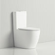 665X380X845Mm Bathroom Back To Wall Toilet Suite Matt White Rimless Flushing Ceramic Suites