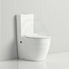 665X380X845Mm Bathroom Back To Wall Toilet Suite Matt White Rimless Flushing Ceramic Suites