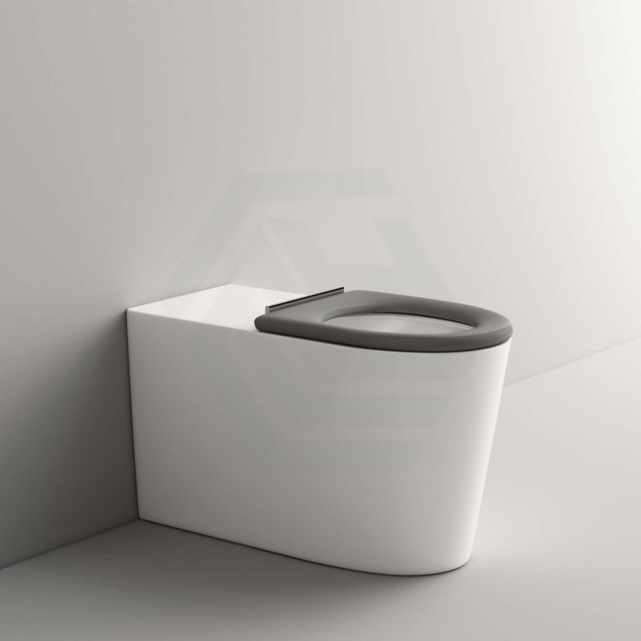 795X355X425Mm Asta Special Care Tornado Flush Toilet Pan Back To Wall S Trap P Single Flap Seat