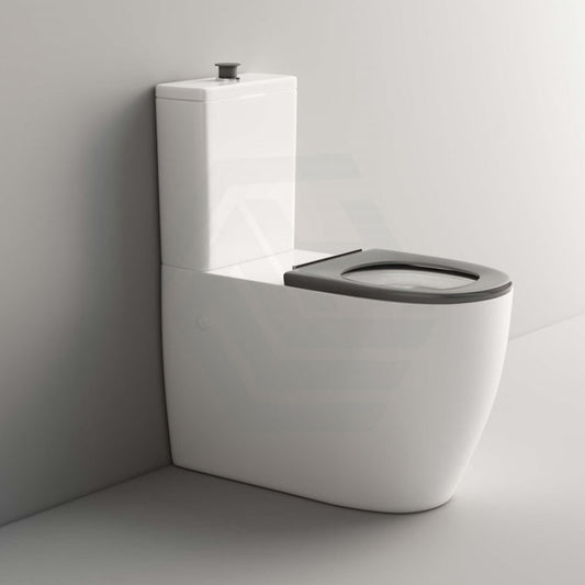 810X355X880Mm Asta Special Care Rimless Disabled Toilet Suite Back To Wall S Trap P Single Flap Seat