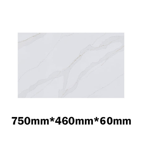 20Mm/40Mm/60Mm Thick Dolce Tree Stone Top Calacatta Quartz For Above Counter Basins 450-1800Mm