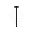 Fienza 300Mm Stainless Steel Round Matt Black Ceiling Shower Dropper Arms