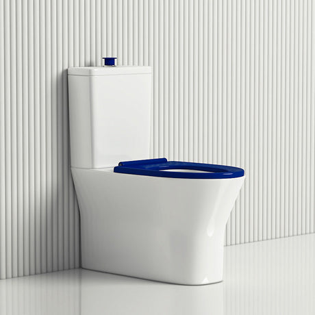 Fienza 800X365X875Mm Delta Care Back To Wall Toilet Suite Special Needs