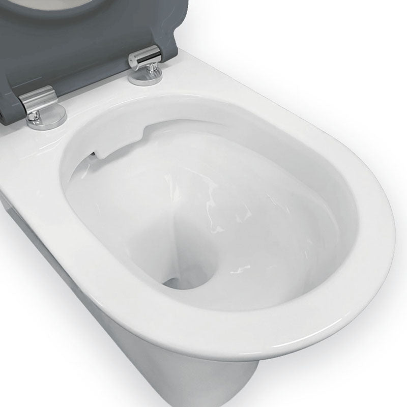 Fienza 800x365x875mm Delta Care Back to Wall Toilet Suite