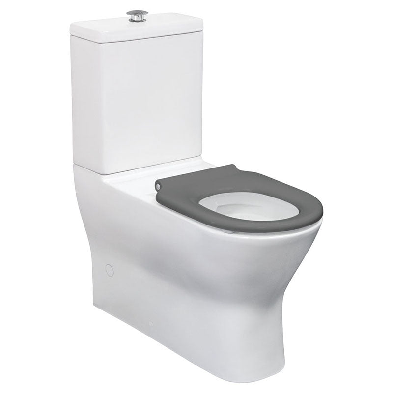 Fienza 800x365x875mm Delta Care Back to Wall Toilet Suite