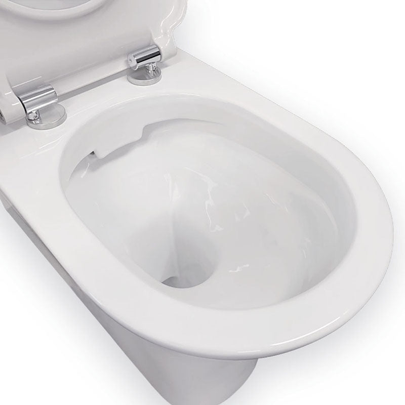 Fienza 800x365x875mm Delta Care Back to Wall Toilet Suite