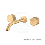 Kohler Components™ Brushed Brass Wall Mount Oyl Handles With Tube Basin Spout 245Mm Bath/Basin