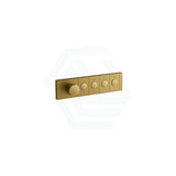 Kohler Moderne Brushed Brass Anthem Recessed Mechanical Thermostatic Control 4 Outlets Trim Plate