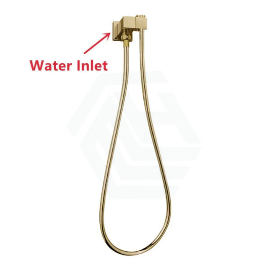 Norico Esperia Square Brushed Yellow Gold Shower Holder Wall Connector & Hose Only With