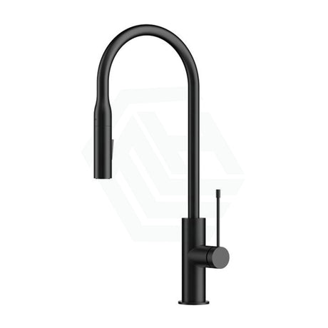 Aziz Matt Black Brass Pull Out Kitchen Mixer Tap