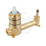 Shower Bath Wall Mixer with Spout Inwall Body Brass