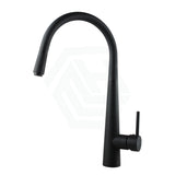 Brass Pull Out Swivel Kitchen Sink Mixer Tap Black