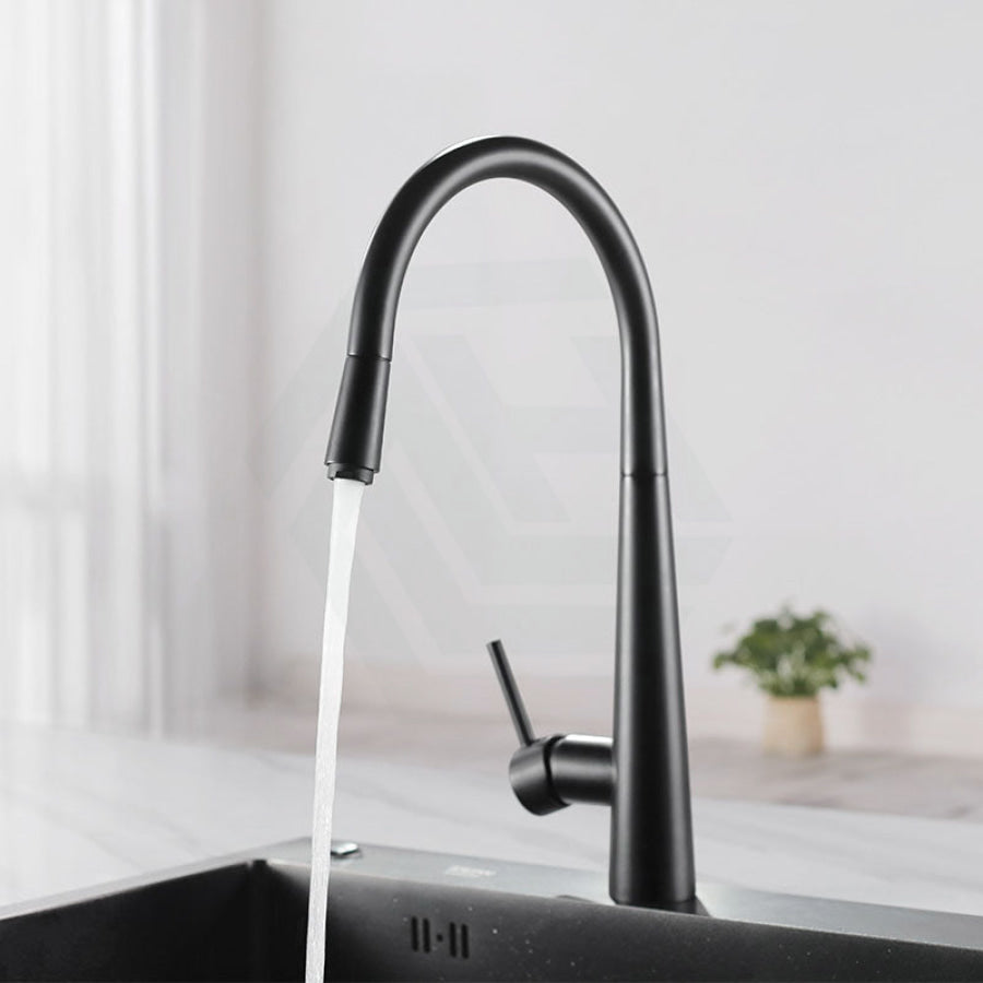 Euro Round Electroplated Black 360° Swivel Pull Out Kitchen Sink Mixer Tap Products