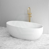 1700X800X580Mm Fanta Oval Bathtub Freestanding Acrylic Gloss White No Overflow Bathtubs