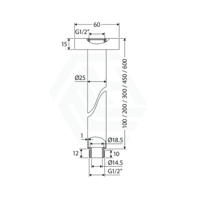 Fienza 100/450Mm Round Chrome Ceiling Shower Dropper Arms