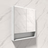 Fienza 750/900/1200Mm Led Pencil Edge Gloss White Mirror Cabinet With Display Shelf Shaving Cabinets