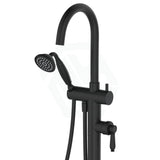 Fienza Eleanor Floor Mixer & Shower Matt Black /