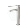 Fienza Isabella Care Tall Basin Mixer Special Needs