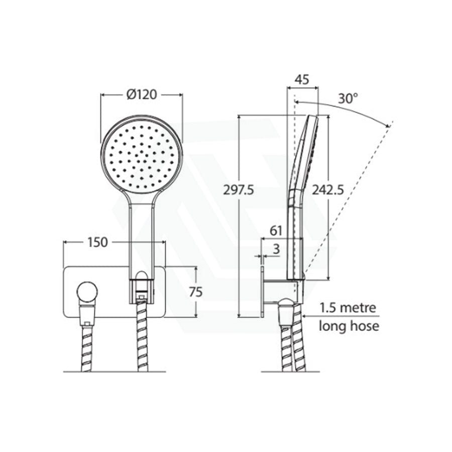 Fienza Kaya Chrome Hand Shower With Rectangle Plate Handheld Sets