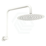 Fienza Kaya Matt White Gooseneck Shower Arm Set