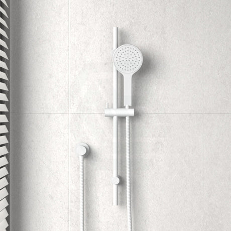 Fienza Kaya Matt White Shower Rail With Handheld