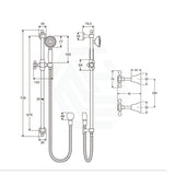 Fienza Lillian Chrome Rail Shower Set