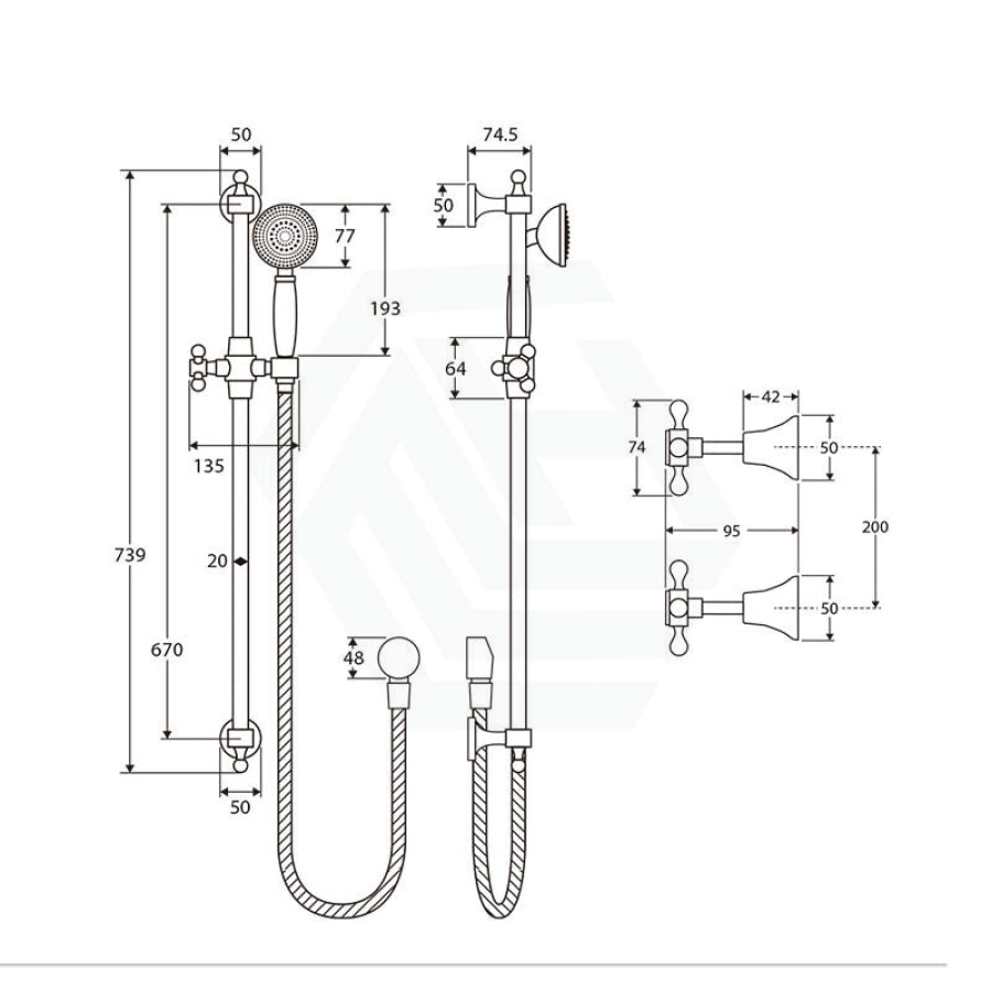 Fienza Lillian Chrome Rail Shower Set