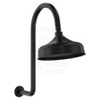 Fienza Lillian Matt Black Wall Arm Shower Set