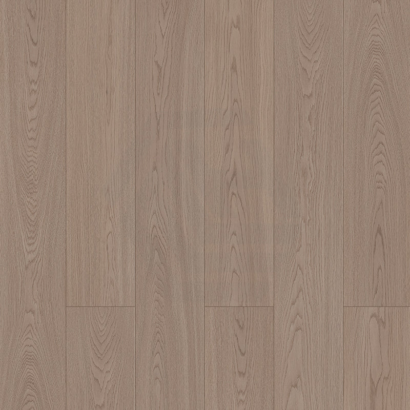 Oak Step Laminate Flooring California 1520X196X12Mm