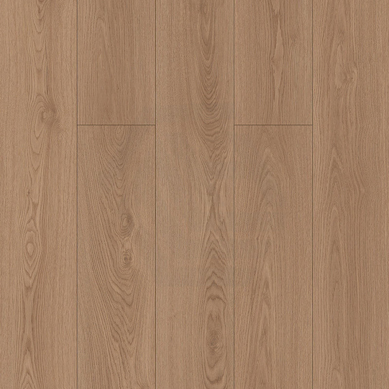 Oak Step Laminate Flooring Austin 1520X196X12Mm