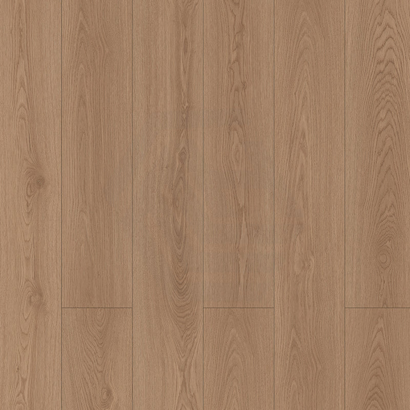 Oak Step Laminate Flooring Austin 1520X196X12Mm