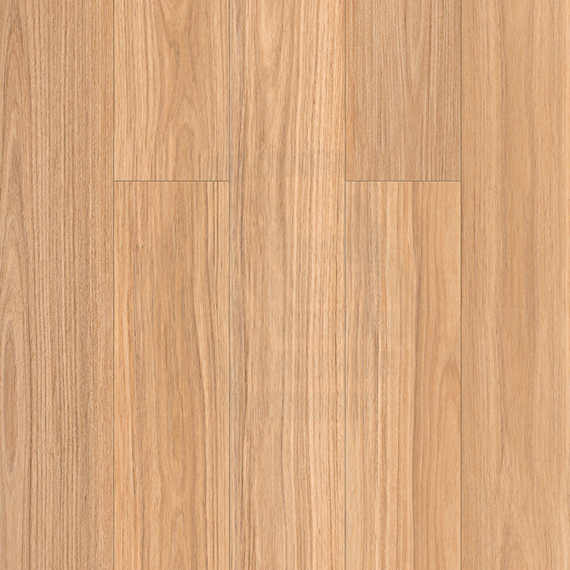 Oak Step Laminate Flooring Nsw Blackbutt 1520X196X12Mm