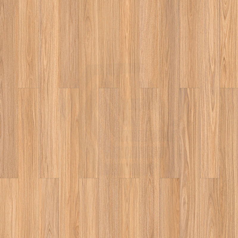 Oak Step Laminate Flooring Nsw Blackbutt 1520X196X12Mm